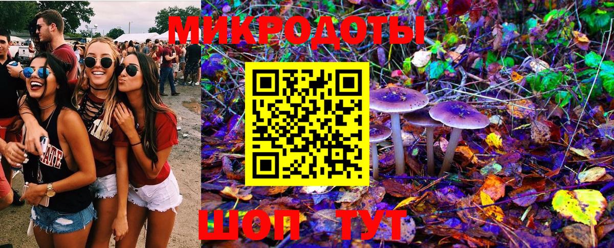 Галлюциногенные грибы Psilocybe  Галлюциногенные грибы мухоморы  Вход с VPN  Тосно 