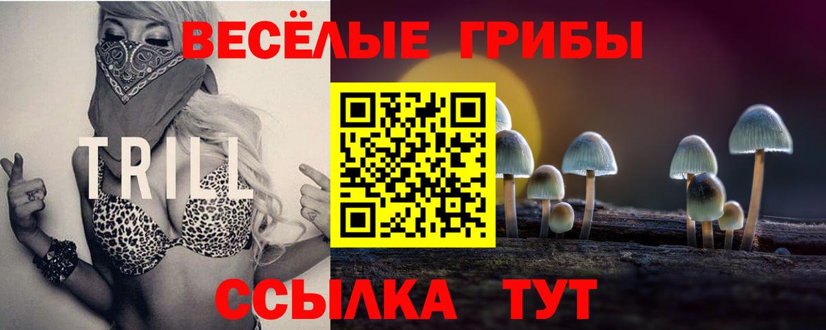 Галлюциногенные грибы Psilocybine cubensis Тосно
